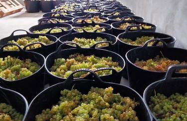 Agroturismo Erlete Goikoa -ESTAMOS EN EL CAMINO DE SANTIAGO -WE ARE ON THE CAMINO DE SANTIAGO- SENDERISMO-RUTAS Y BICICLETA - Photo 19