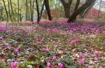 azienda agrituristica la torretta - Foto 16