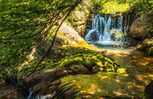 Apartamento con encanto en el Pirineo - Foto 29