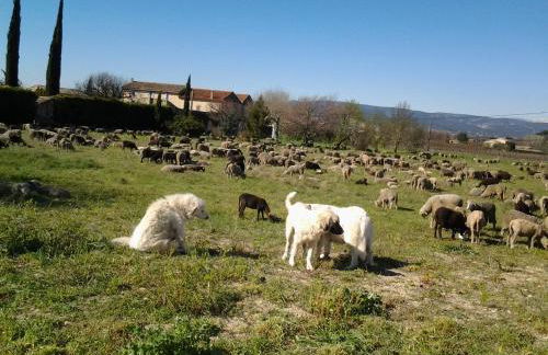 Mas De Hameau - Foto 17