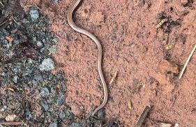 Haus Marta - Photo 56