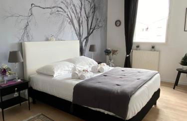 L'Aragon - Wifi - Balcon vue La Maine - Foto 9