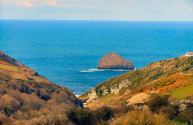 Crowsnest - Overlooking Trebarwith Strand - Foto 15