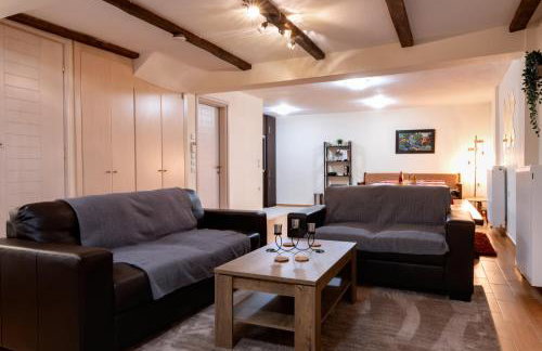 Del Mountain Home Arachova - Foto 12