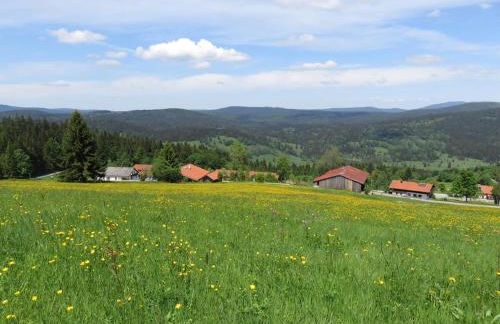 2 Zimmer Mitterdorf - Foto 20