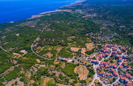 Apartments Dandić - Photo 55