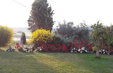 In collina sul mare... - Foto 6