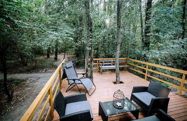 Skokovo Park - Foto 76