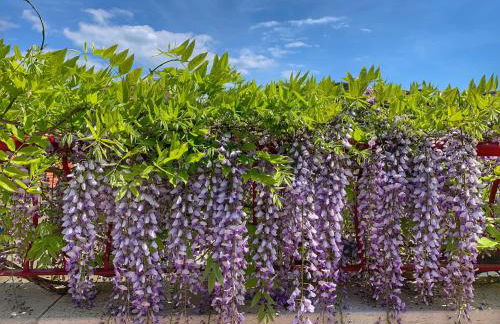 Corso Emanuele Apartments - Foto 42