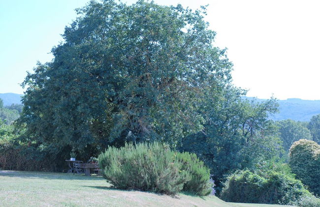 azienda agricola lo zolfino - Foto 62