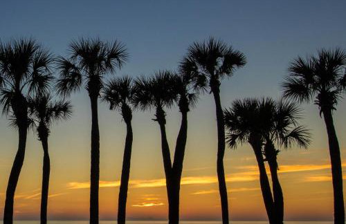 Water's Edge 105 South - Foto 39