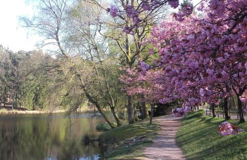 Apartment LES BRIMBELLES by Interhome - Foto 21