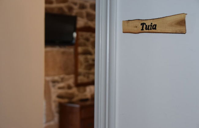 Casa Videira Turismo Rural - Foto 7