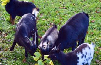 Bed and Bike Rheine - Foto 18