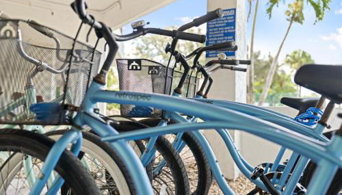 Gulf Tides of Longboat Key by Coolvacay - Foto 4