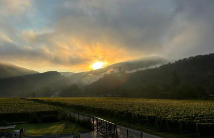 Haus im Weinberg - Foto 38