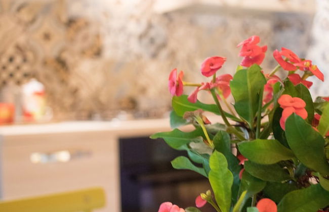 Agriturismo Fattoria Il Bruco - Foto 40