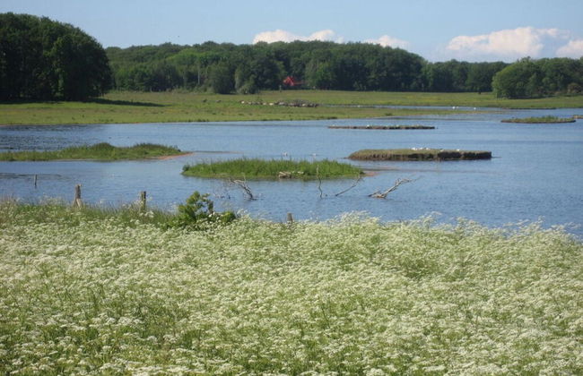 Holiday Home Beach and Nature - Foto 25