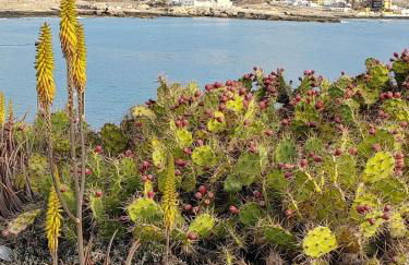 Casa Poris - Foto 43