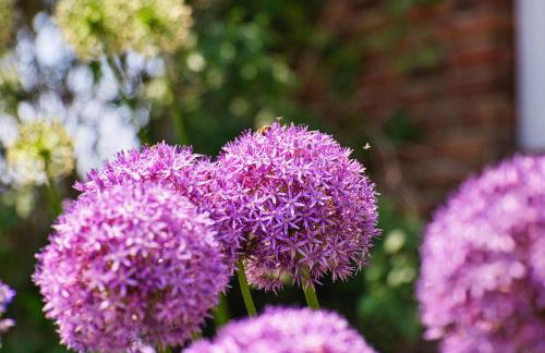Bauernhofurlaub bei Familie Bokeloh - Foto 64