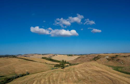Casa Girasole Podere Fossaccio - Foto 54