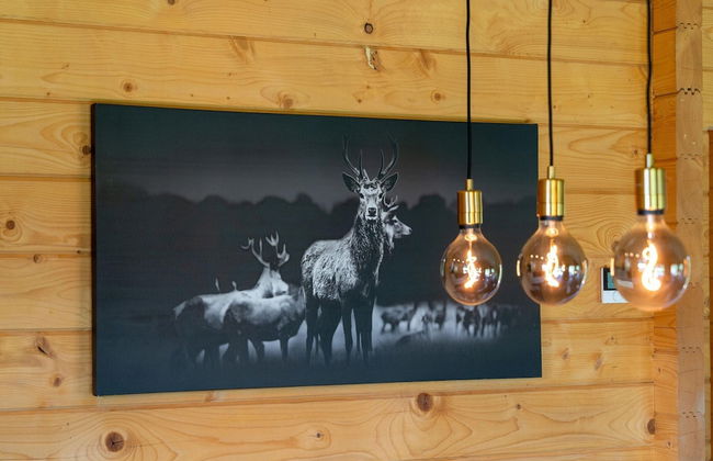 Holiday Home in Limburg With Terrace - Photo 27