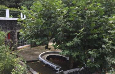 Quinta do Rossio, Rural Tourism - Photo 7