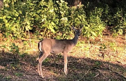 Perfect Country-Side Get-Away - Photo 42