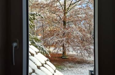 Appartement im Gutshaus - Foto 21