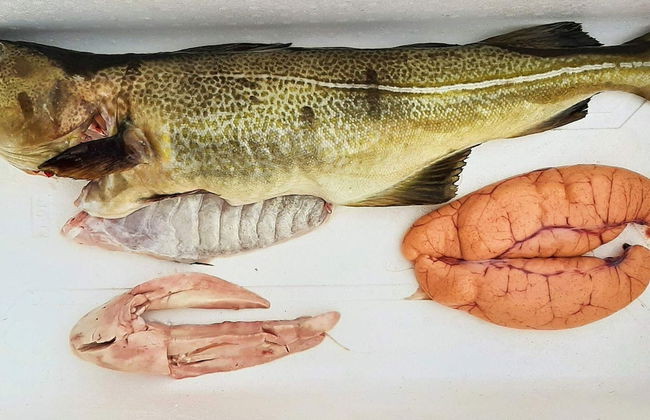 11 Person Holiday Home in Syvde - Foto 29