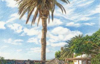 Finca Lucía - Los Hervideros - Foto 1