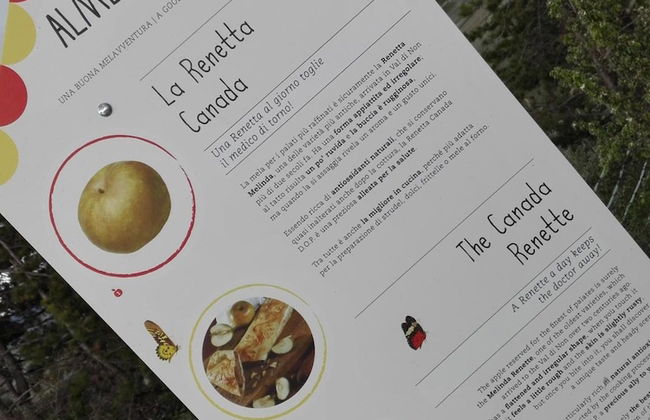 Agriturismo NonSoloMele - Photo 34