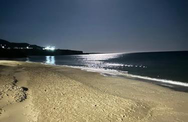 Fantasea Beachfront Villa - Foto 50