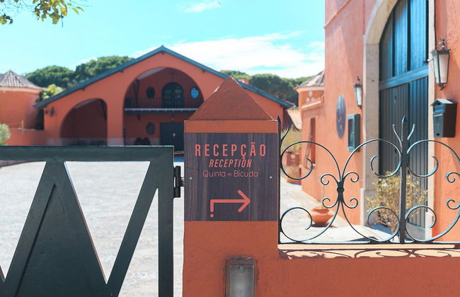 Quinta da Bicuda - Photo 2