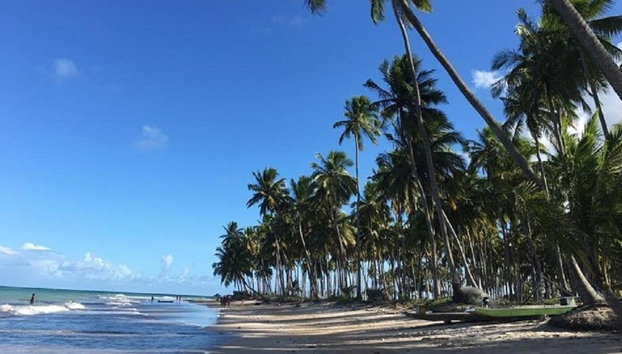 Plage de Carneiros - Excursion d'une journée - Photo 4