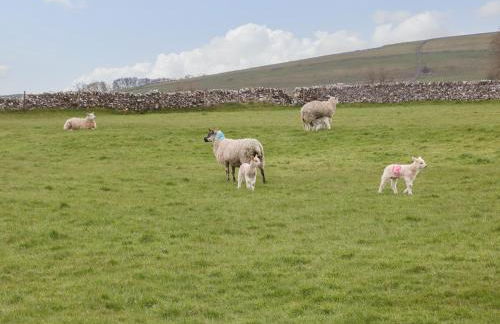 Shortner Croft - Photo 21