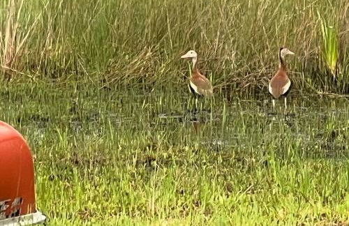 Half Moon Lake Retreat - Foto 27