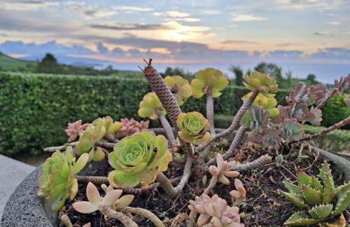 Casa da Boa Vista - Photo 23