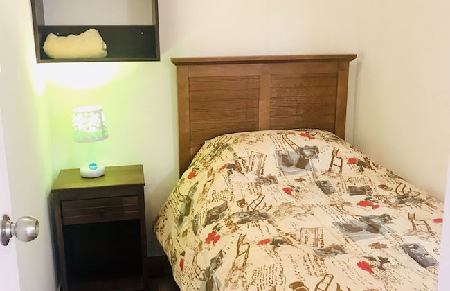 Cosmopolita - Foto 22