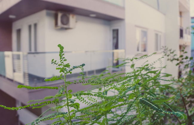 Homestay Sunny's House - Photo 10