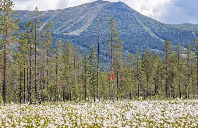 8 Person Holiday Home in Lofsdalen - Foto 5