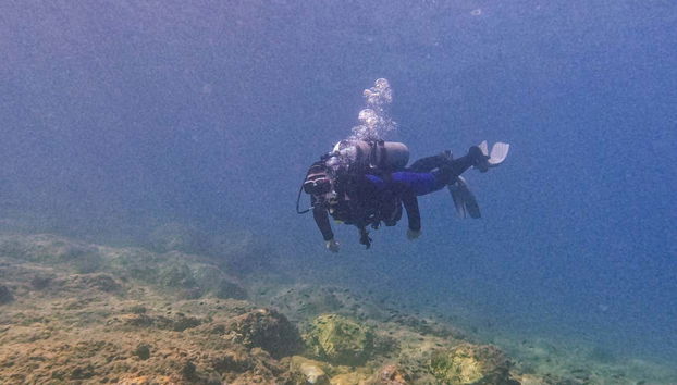 Découvrez la biodiversité de Cala Portals Nous