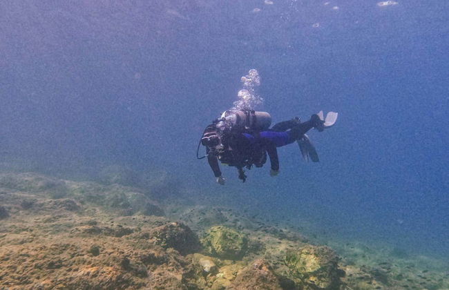 Plongée à Cala Portals Nou - Photo 5