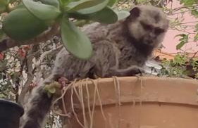 Rosa dos ventos suíte 2 - Foto 22