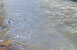 Cabana Pequeno Bosque Refúgio dás Águas - Foto 38