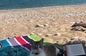 Appartement cosy à 2mn de la plage au centre ville - Foto 20