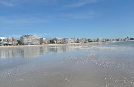 Studio l'Oasis - Piscine, plage de La Baule 10 min - Photo 9