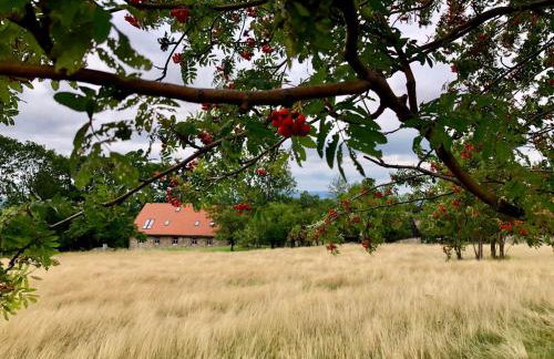 MałaKamienica80 Butikowa agroturystyka w Górach Izerskich - Foto 8
