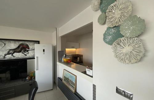 Sol-y-Days la Presqu'île Ulysse 43 Marina en Triplex - Foto 4