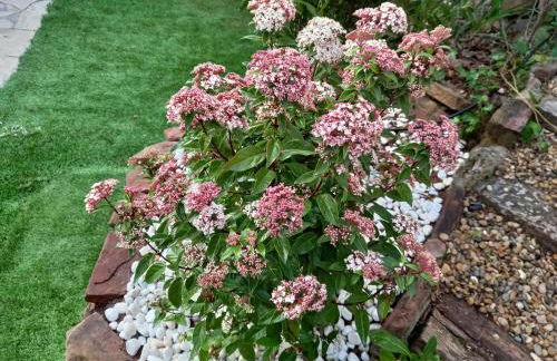 Casa acogedora familiar en la montaña - Foto 46